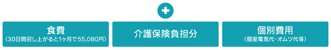+食費・介護保険負担分・個別費用